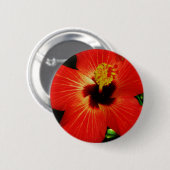 赤ハイビスカス 缶バッジ (正面&裏面)