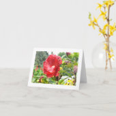 "赤ハイビスカス" (PHOG)ノテカード カード (黄色い花)