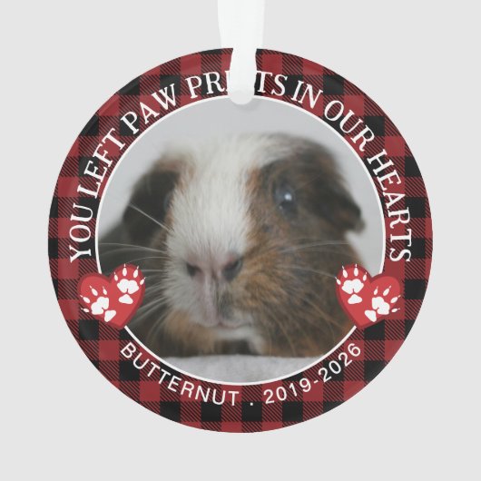 赤バッファローチェック前足ギニア豚の記念写真 オーナメント (裏面)