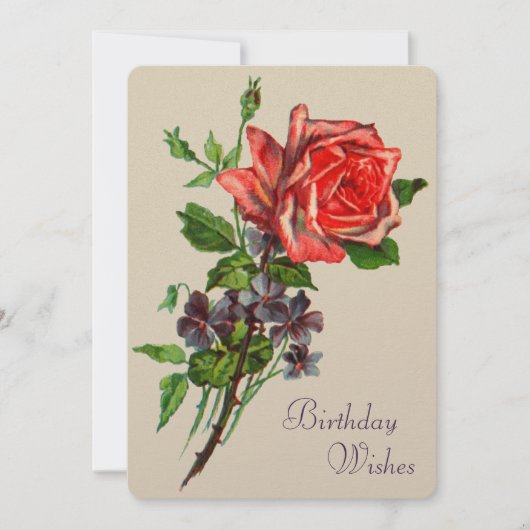 赤バラとスミレ カード (正面)