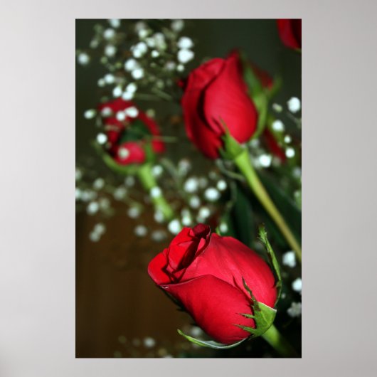 赤バラのポスター ポスター (正面)