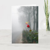 赤バラの同情カード カード (正面)