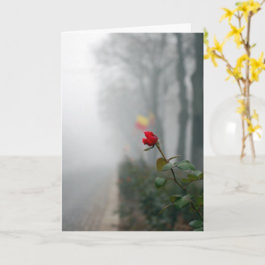 赤バラの同情カード カード (黄色い花)