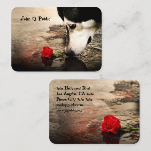 赤バラの犬 名刺 (正面/裏面)