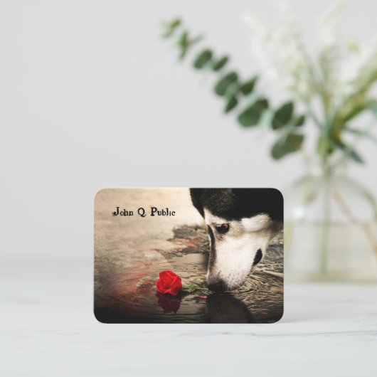 赤バラの犬 名刺 (スタンド正面)