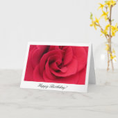 赤バラの誕生日カード カード (黄色い花)