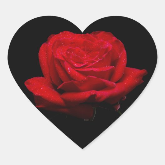 赤バラ ハートシール (正面)