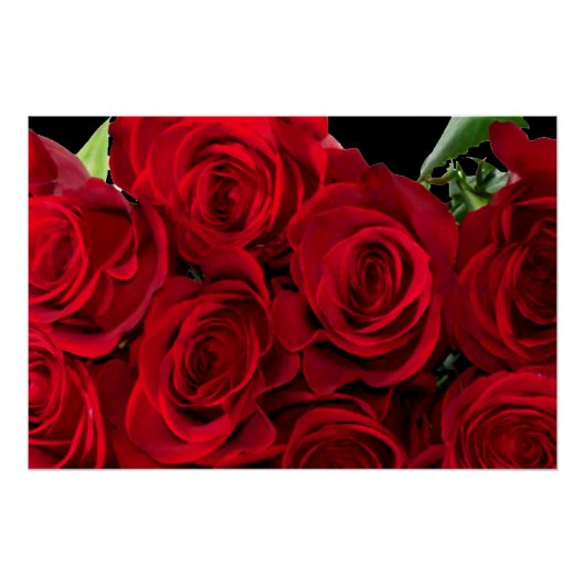 赤バラ ポスター (正面)