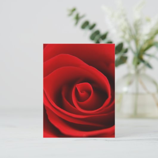 赤バラ ポストカード (スタンド正面)