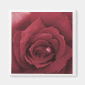 赤バラ マグネット (正面)