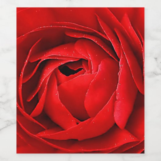 赤バラ ワインラベル (シングルラベル)