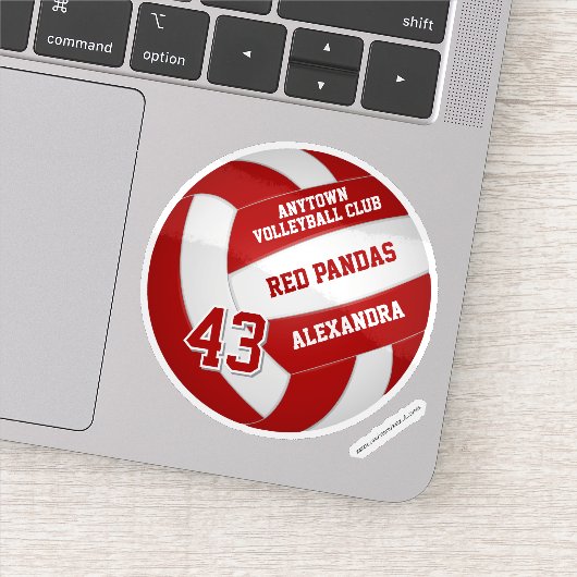 赤バレーボールのチームカラー子供の名前ジャージー番号 シール (詳細)