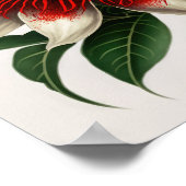 赤パッションフラワーアートプリントポスター ポスター (角)