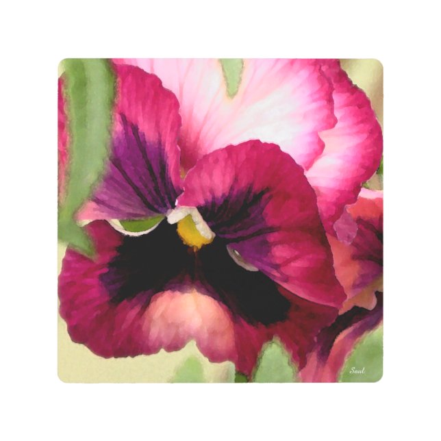 赤パンジー花水カラーガーデンフローラクローズアップ メタルプリント (正面)