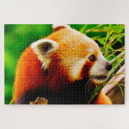 赤パンダがクマ。 ジグソーパズル