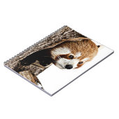 赤パンダのぞきー ノートブック (左側)