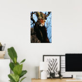 赤パンダのパーチ ポスター (ホームオフィス)