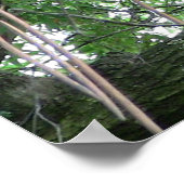 赤パンダのポスター ポスター (角)