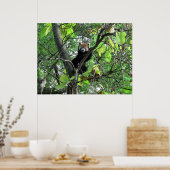 赤パンダのポスター ポスター (キッチン)