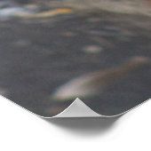 赤パンダのポスター ポスター (角)