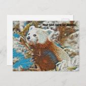 赤パンダはがき ポストカード (正面/裏面)