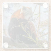 赤パンダ ガラスコースター (裏面)