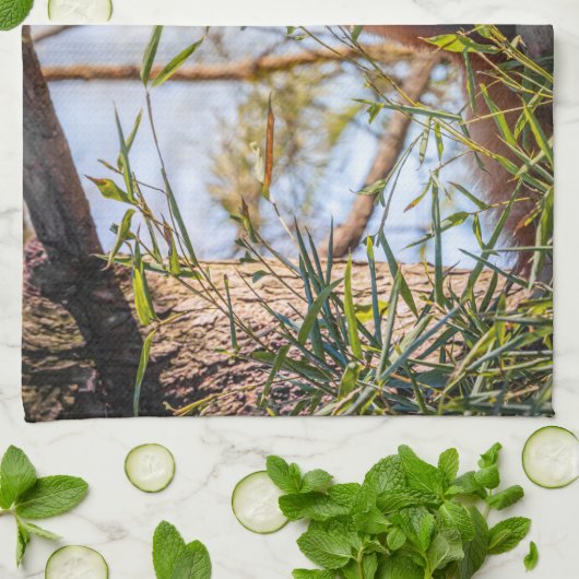 赤パンダ キッチンタオル (折り畳み)