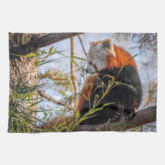 赤パンダ キッチンタオル (横)