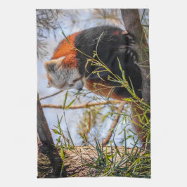 赤パンダ キッチンタオル