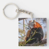 赤パンダ キーホルダー (正面)