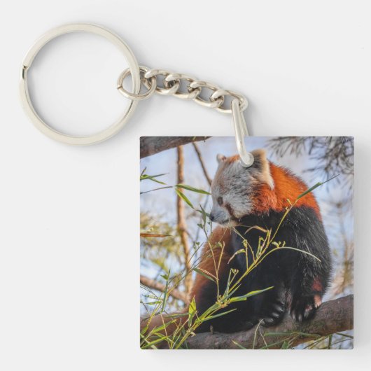 赤パンダ キーホルダー (正面)