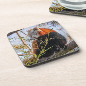 赤パンダ コースター (左側)