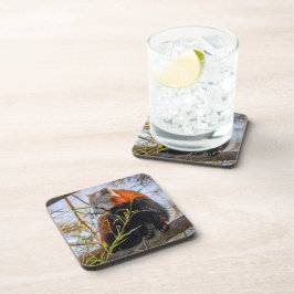 赤パンダ コースター