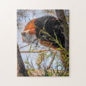 赤パンダ ジグソーパズル (縦)