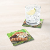 赤パンダ スクエアペーパーコースター (インサイチュ)