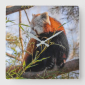 赤パンダ スクエア壁時計 (正面)