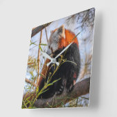 赤パンダ スクエア壁時計 (傾斜)