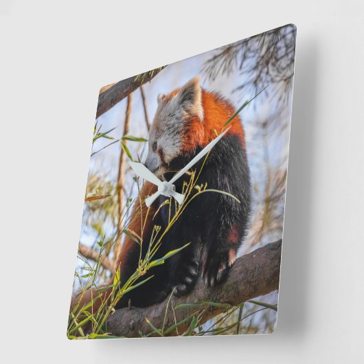 赤パンダ スクエア壁時計 (傾斜)