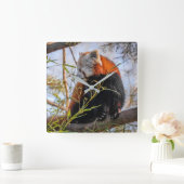 赤パンダ スクエア壁時計 (ホーム)