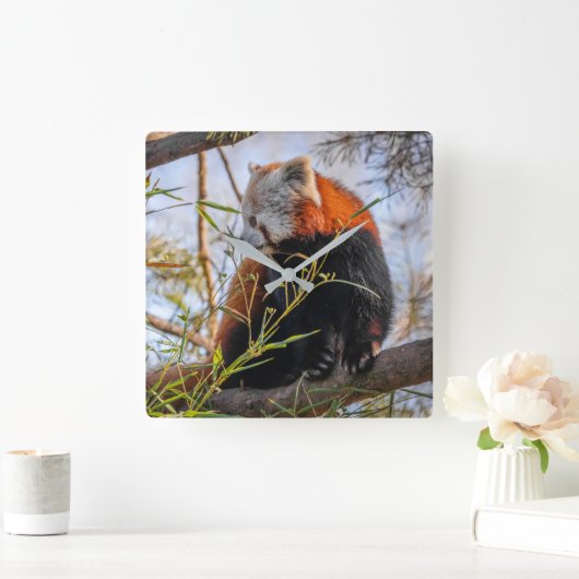 赤パンダ スクエア壁時計 (ホーム)