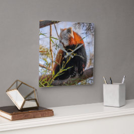 赤パンダ スクエア壁時計