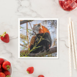 赤パンダ スタンダードカクテルナプキン