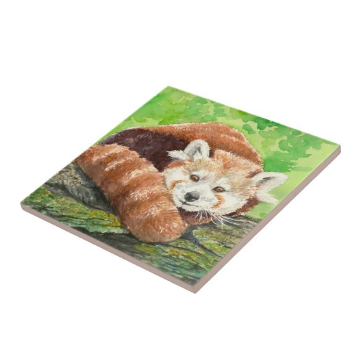 赤パンダ タイル (側面)