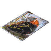 赤パンダ ノートブック (左側)