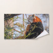 赤パンダ バスタオルセット (ハンドタオル)