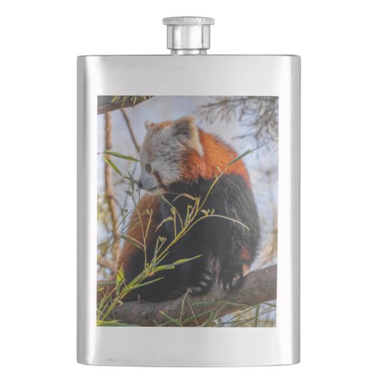赤パンダ フラスク (正面)