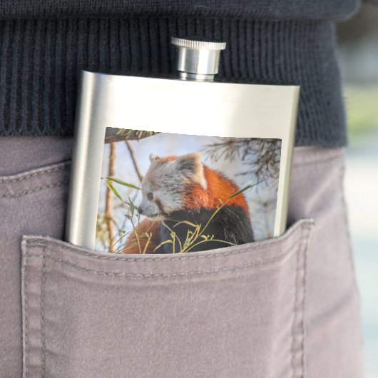 赤パンダ フラスク (インサイチュ)