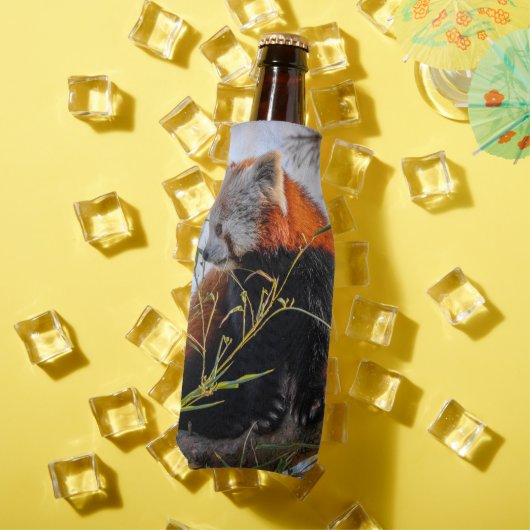 赤パンダ ボトルクーラー (インサイチュ 夏)