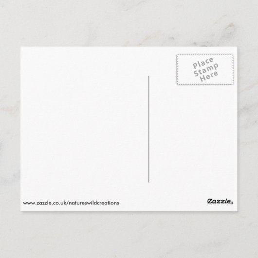 赤パンダ ポストカード (裏面)