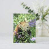 赤パンダ ポストカード (スタンド正面)